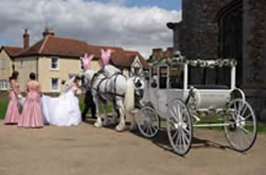 Horse and Carriage Toastmaster Richard Palmer