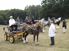 Riffhams Essex for the Carriages in the Park Event 